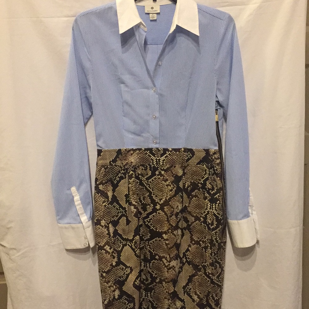 Altuzarra Dress
